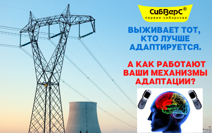 Выживает тот, кто лучше адаптируется