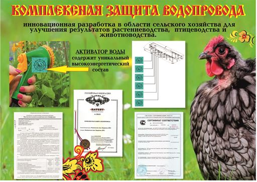 Компания "СибВерС и "Вода-Медицина-Экология"