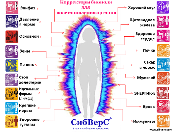 Корректоры биополя для каких органов у Вас уже есть?