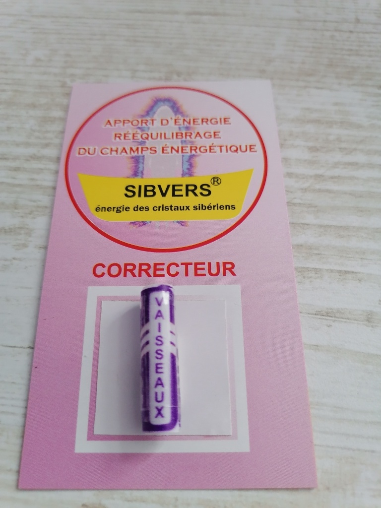 VAISSEAUX1.JPG
