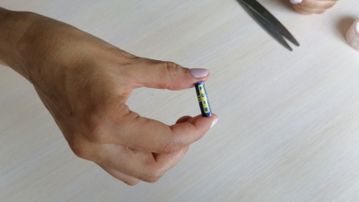 ENERGIK " FOIE "